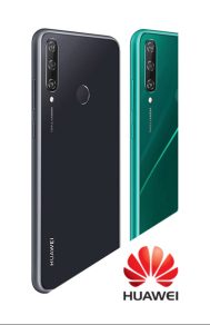 Y6p